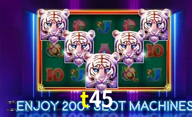 Seasonal Promotions t45